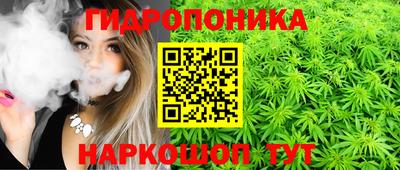 стаф Бузулук