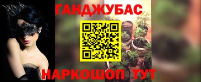 шишки Будённовск