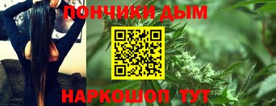 шишки Будённовск